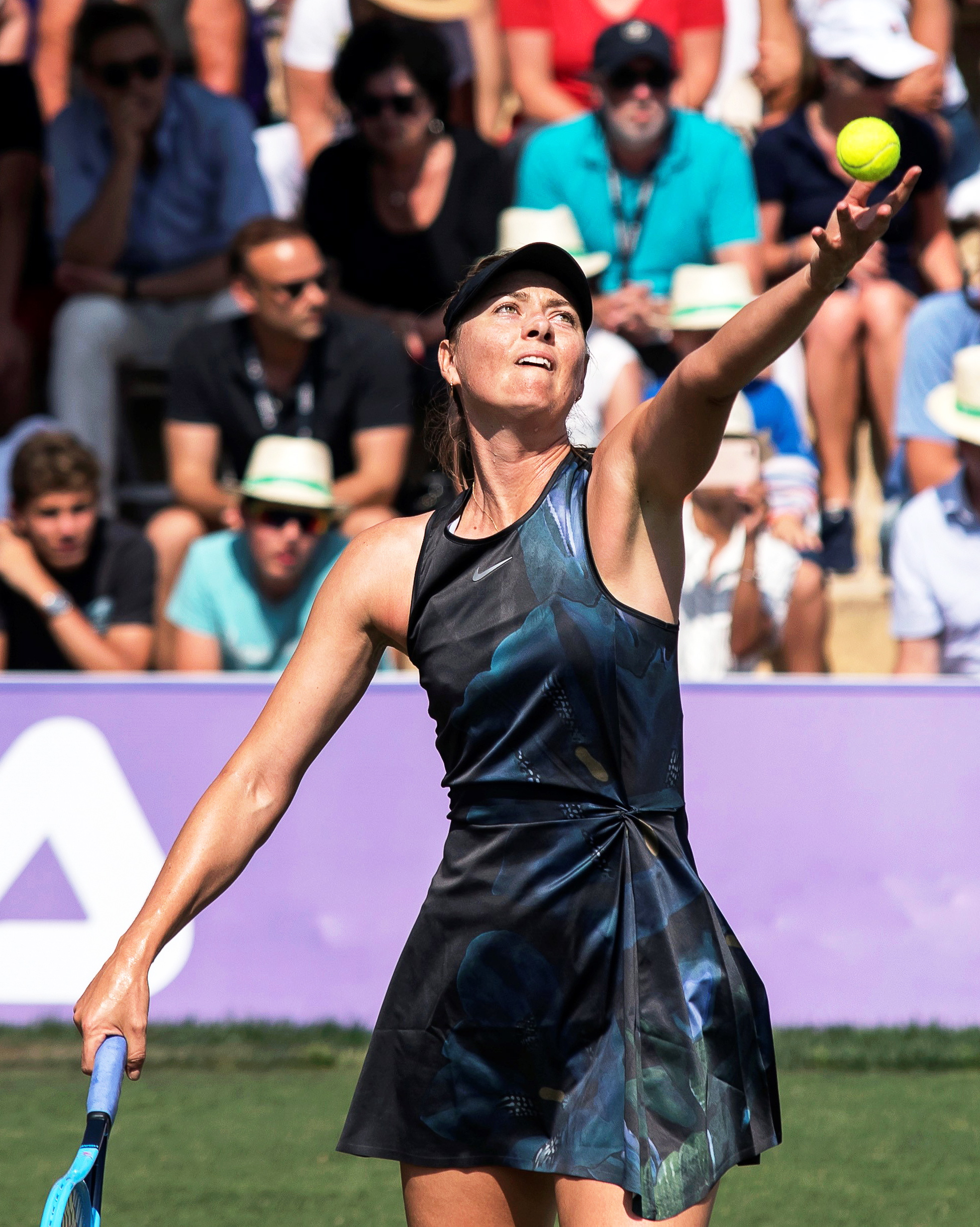 包含莎拉波娃回归赛场,战术调整首场状态亮眼,TL观众沸腾!的词条 包含莎拉波娃回归赛场,战术调整首场状态亮眼,TL观众沸腾!的词条